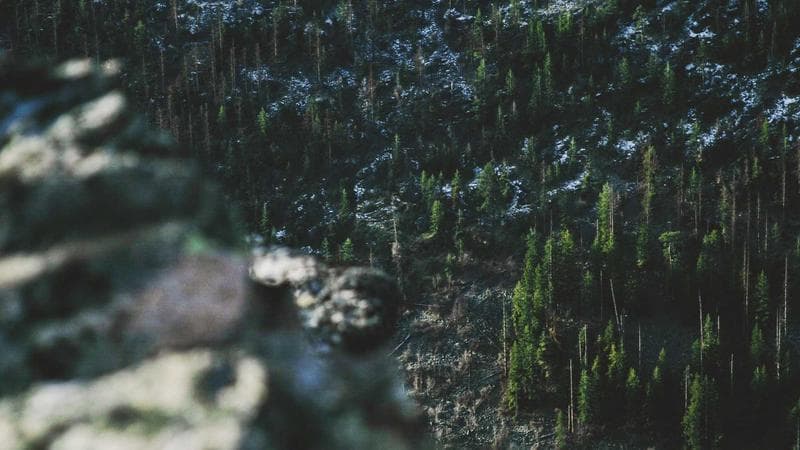 Keeping Documentation in Sync with Your Code