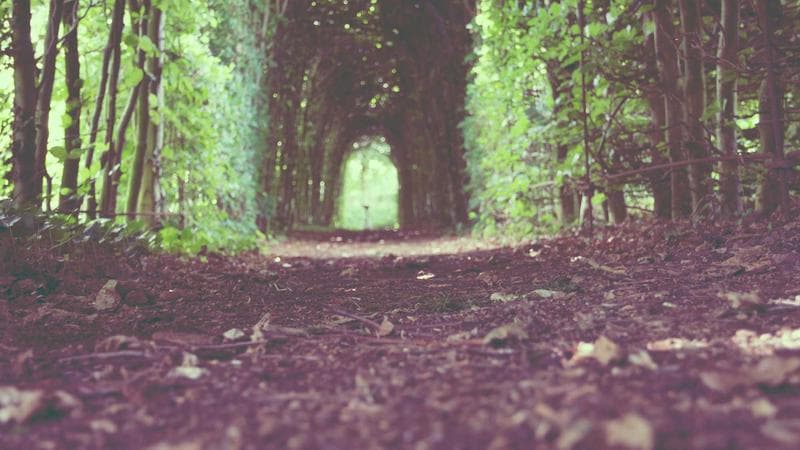 Introducing Gitdocs AI v2.0.0